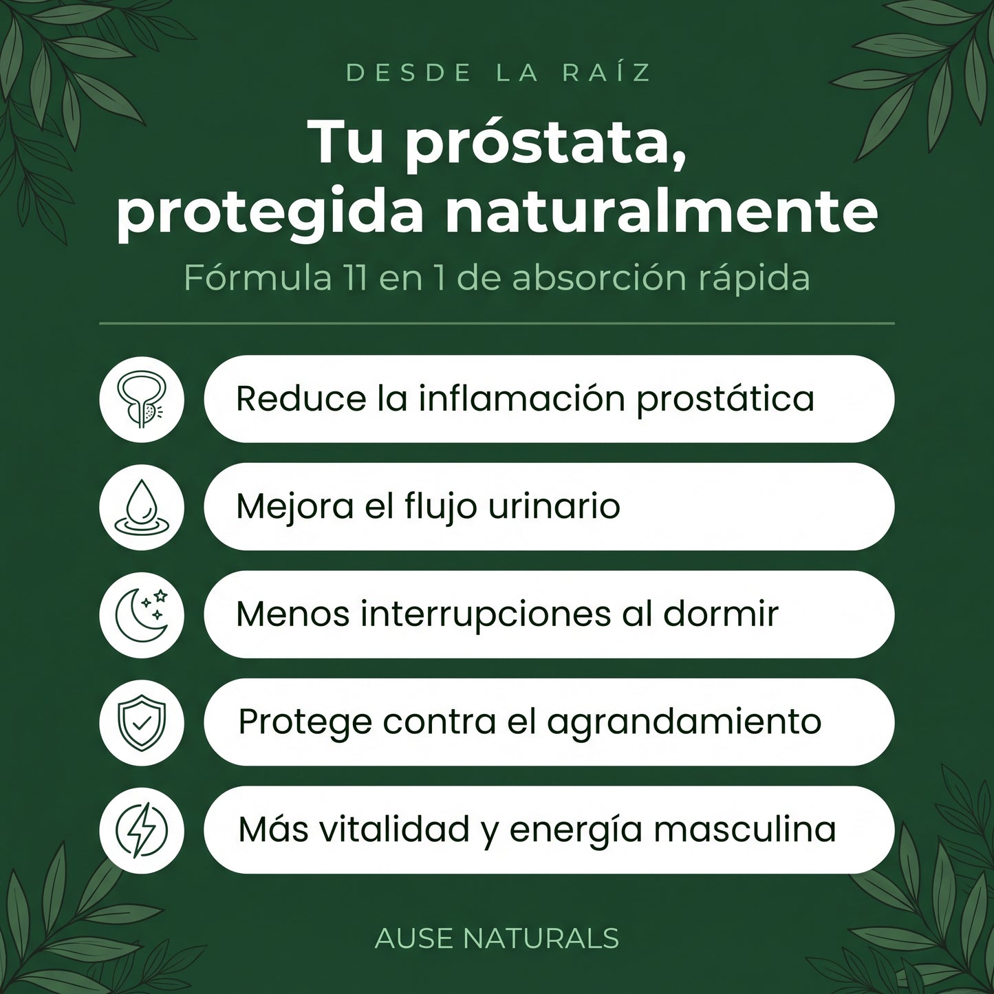 Próstata Forte | Mejora el flujo, reduce la inflamación y recuperá tus noches