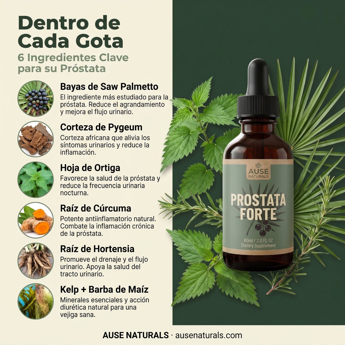 Próstata Forte | Mejora el flujo, reduce la inflamación y recuperá tus noches